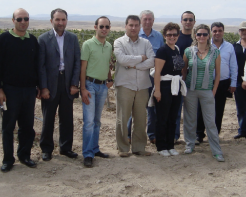 Kavaklıdere Bağbozumu Gezisi