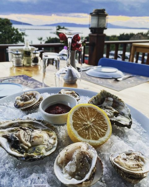 Orfoz Restaurant Bodrum