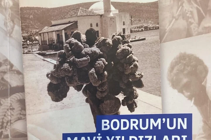 Bodrum'un Mavi Yıldızları: Süngerciler kitabı Hamdi Topçu