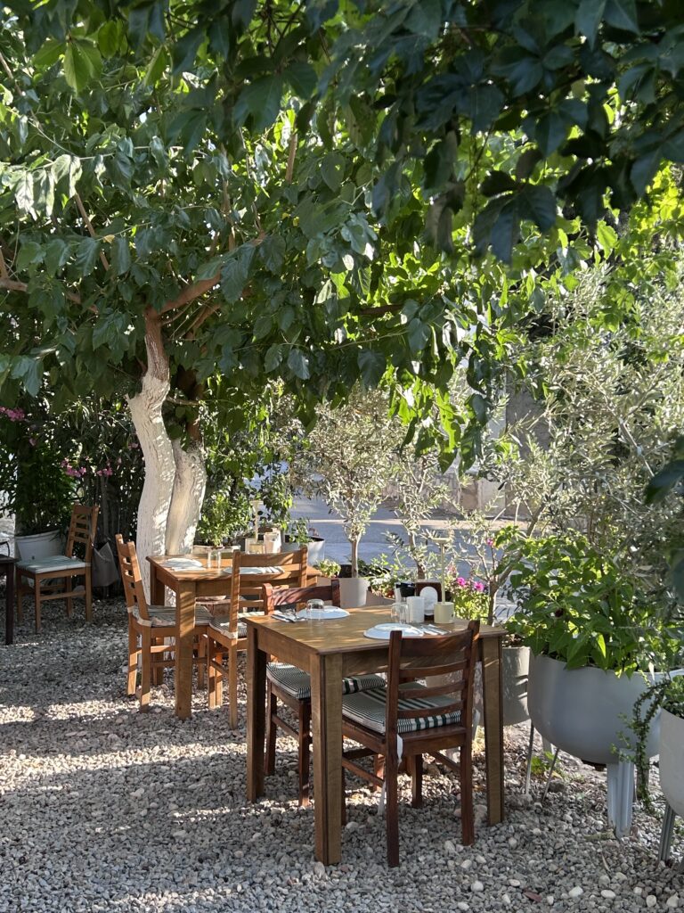 Bağarası Restoran’ın ağaçlar altındaki ahşap masa ve sandalyeleri