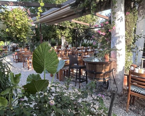Bitez’te ağaçlar ve çiçekler içindeki Bağarası Restoran bahçesi