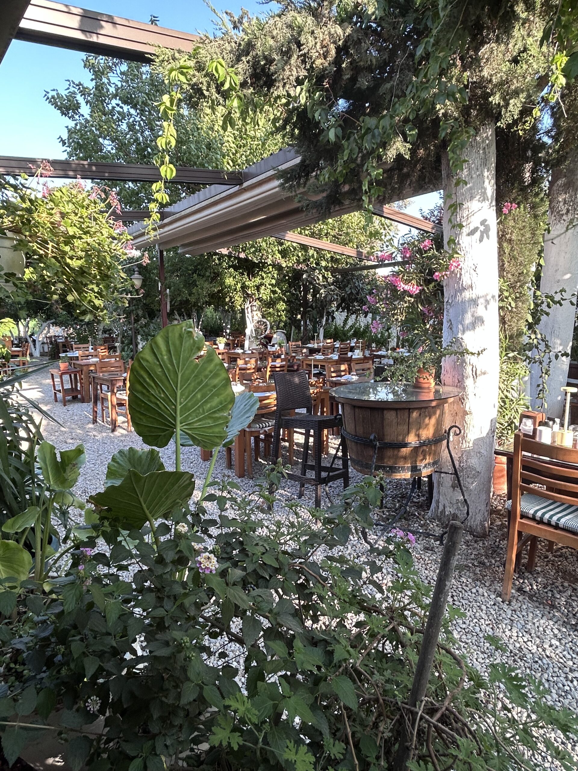 Bitez’te ağaçlar ve çiçekler içindeki Bağarası Restoran bahçesi