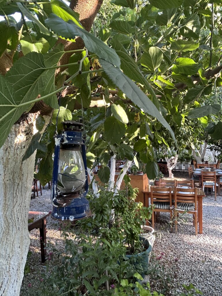 Bağarası Restoran’ın ağaçlı bahçesinde asılı eski gaz lambası