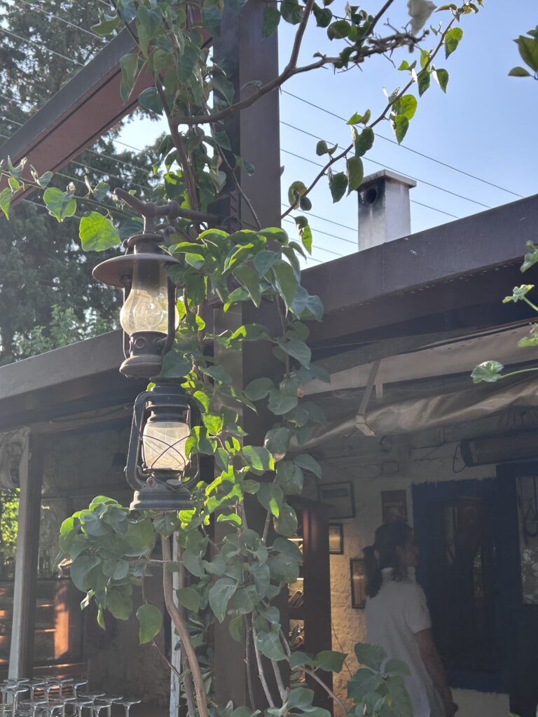 Bağarası Restoran’ın girişinde sarmaşıklar ve asılı gaz lambası