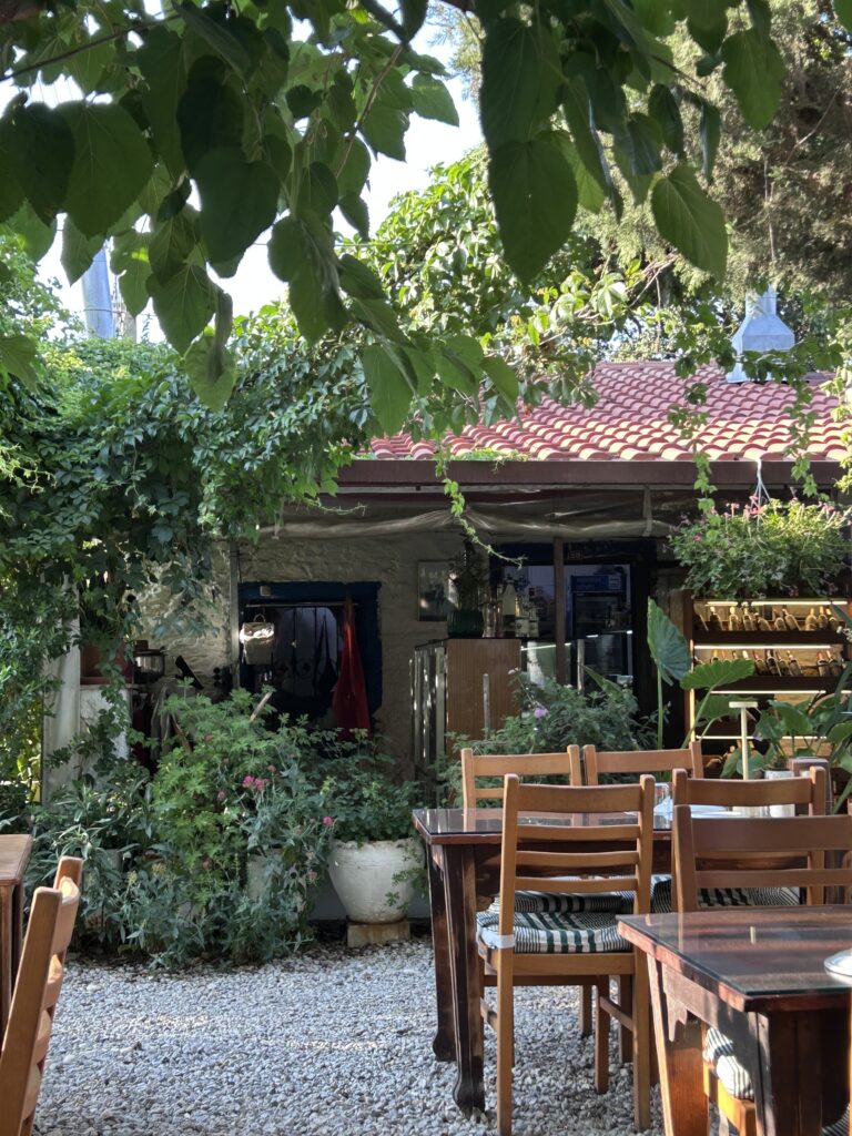 Bağarası Restoran’ın ağaçlar altındaki taş avlusu ve ahşap masaları