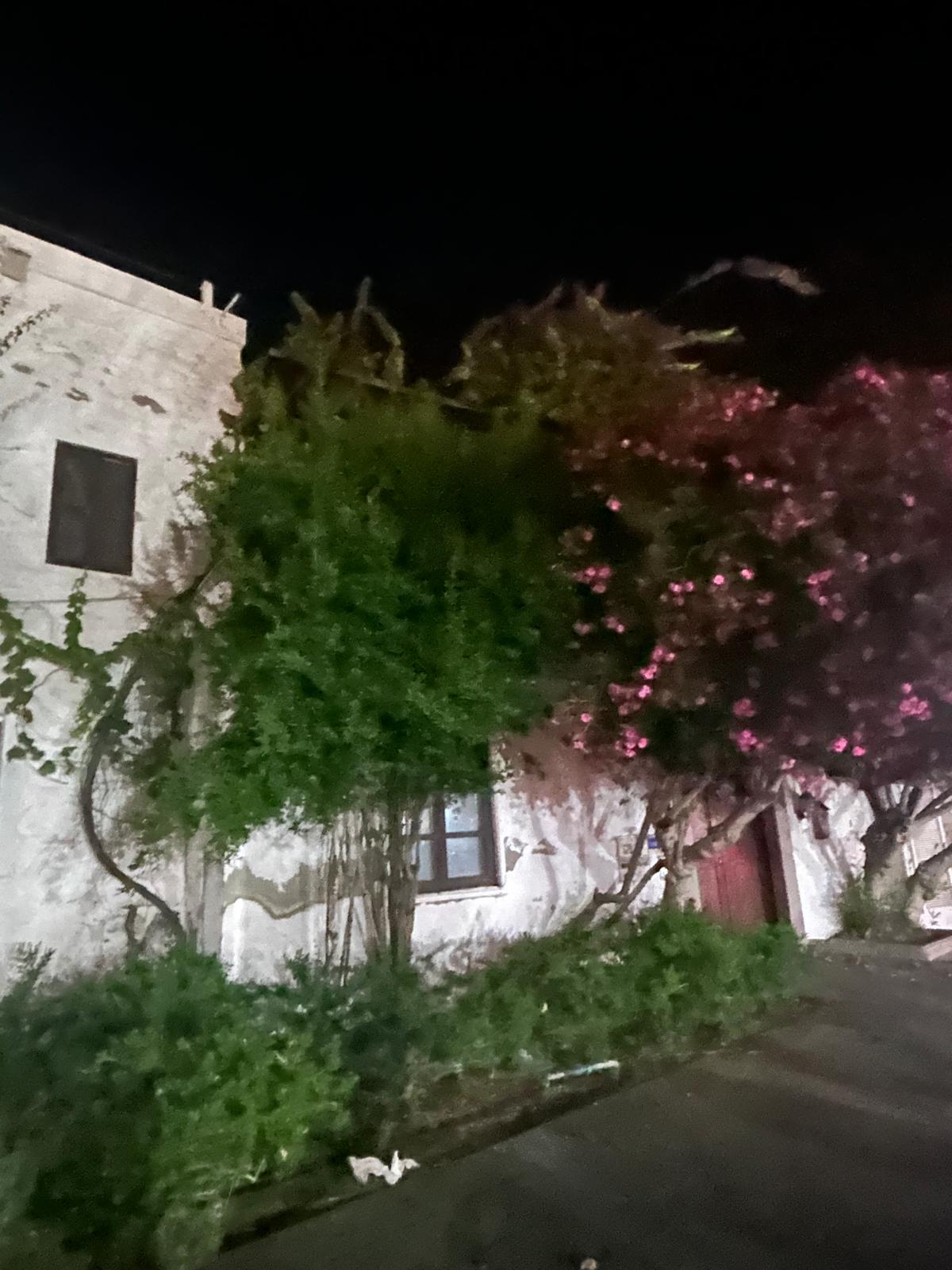Begonviller ve yeşillikler arasındaki eski beyaz Bodrum evi