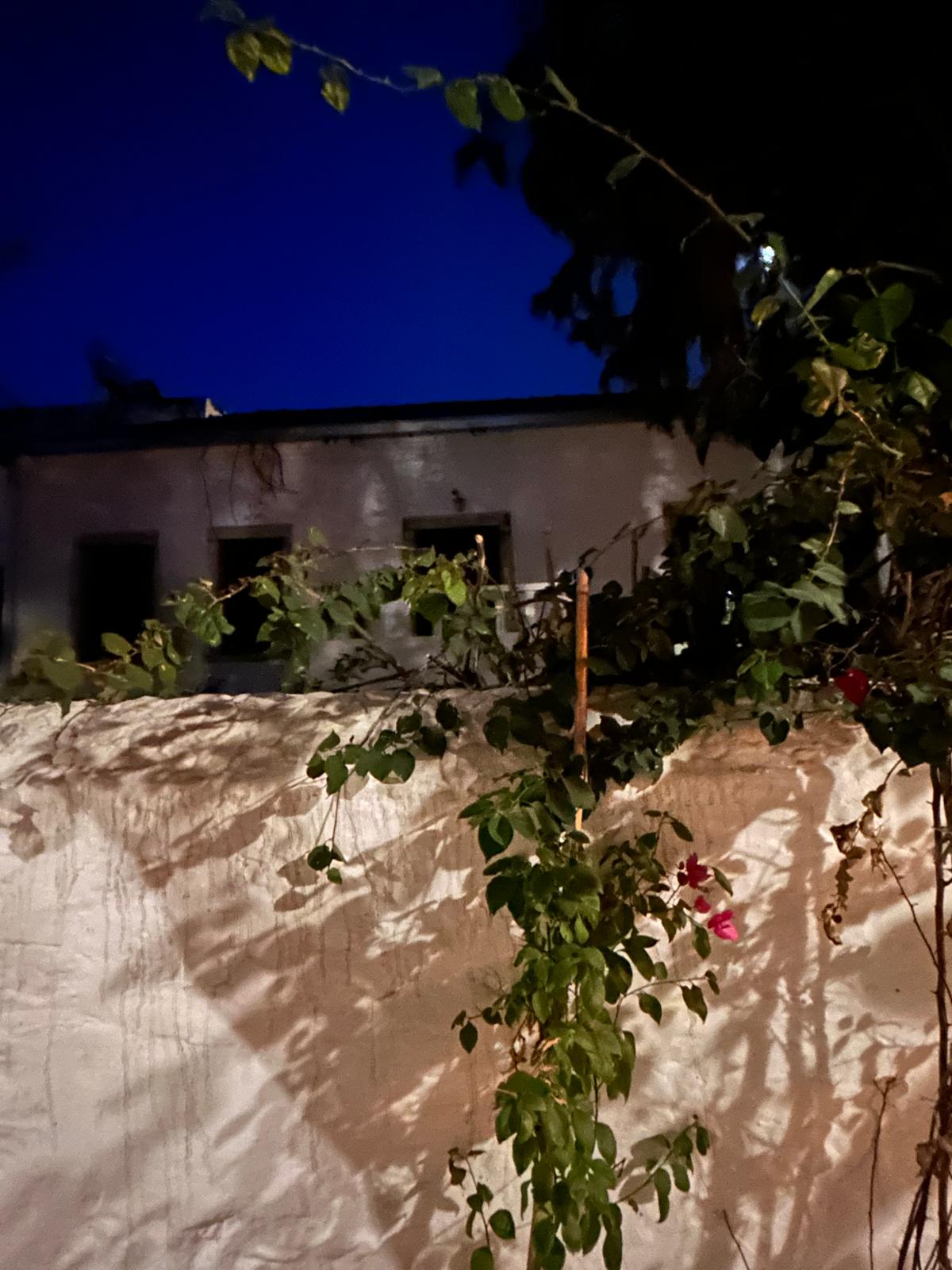 Gece ışığında begonvillerle çevrili geleneksel beyaz Bodrum evi