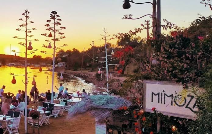 Mimoza Restaurant Gümüşlük